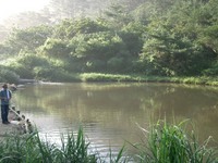 悶絶！！なごみの湖！本編