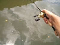 悶絶！！なごみの湖！本編