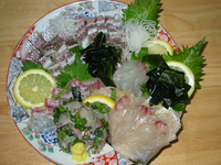 「Catch & Eat」今週のPICK UP フォトラバ