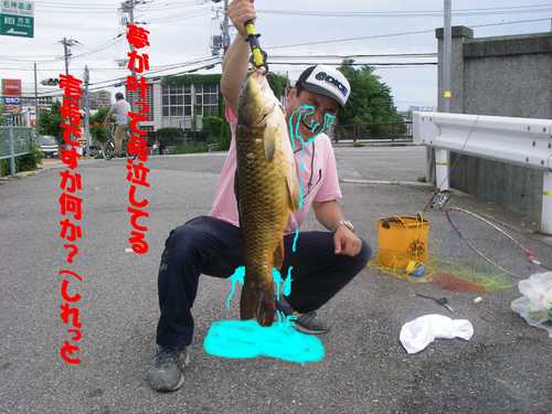 コイにコイしたアラフォーオヤジ