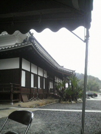 お花見 2010/04/01 13:48:59