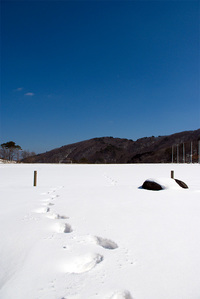 雪山にて遊ぶ 2010/03/04 20:00:00