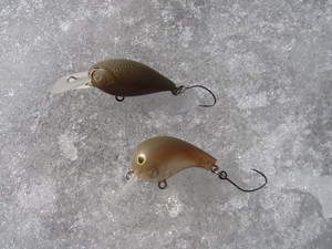 今年の初釣りはやっぱりここへ！