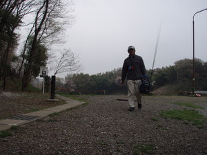 桜咲く王禅寺