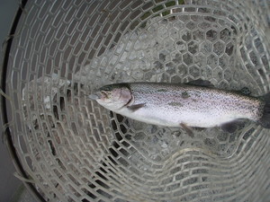 侍の集い in FISH・ON鹿留（６．１１）