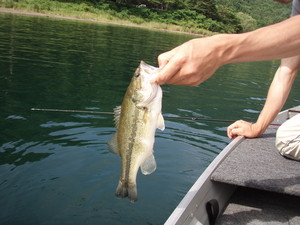 夏の河口湖