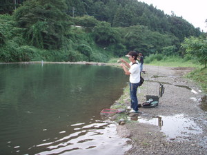 灼熱のベリーズ迦葉山★
