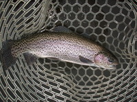 冬の到来？FISH・ON 鹿留