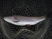 冬の到来？FISH・ON 鹿留
