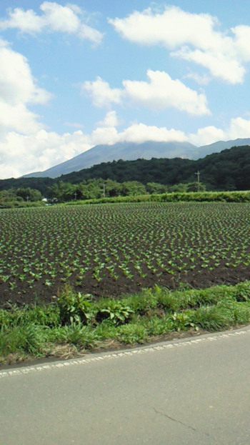 信州２日目