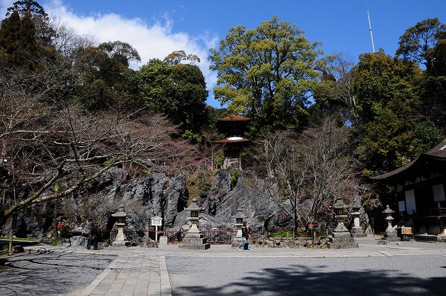 石山寺　梅