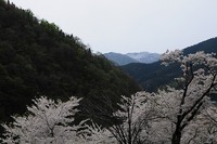 4月29日～５月1日　ドライブ旅行
