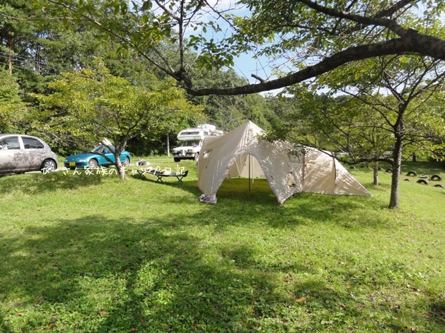 牛も過ごしやすくなりました～