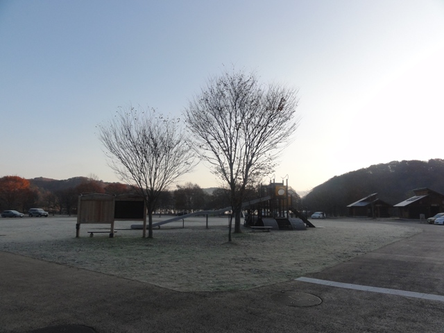 キャンプ解禁!?