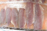 アジング復活！！　アジ・タチウオ・カサゴ 2012/11/23 15:37:58