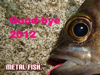 釣納メバリング2012　with ブロガー 2012/12/31 15:48:26