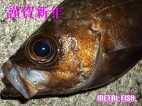 2013年メバリング初釣行は？！ 2013/01/05 23:36:29
