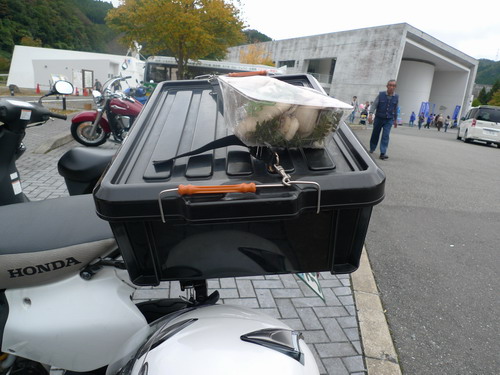 ｍｉ～ｙａからも・・・