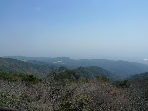 春霞・・・