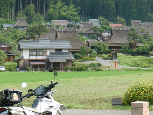 朝駆け。。。＠かやぶきの里