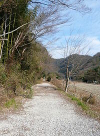 準備は重要です。。。＃廃線ソロ