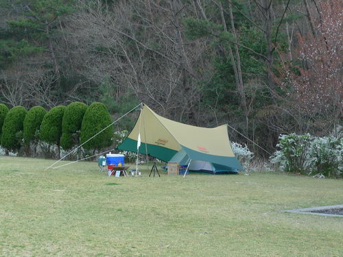 出逢い・・・【２】＃出逢い再会の古法華