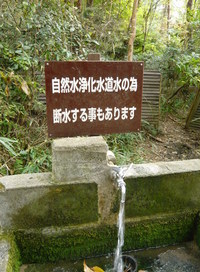 魚屋道で六甲横断紅葉トレック!(^^)!　コース編