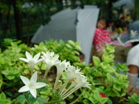 夏の終りは・・・