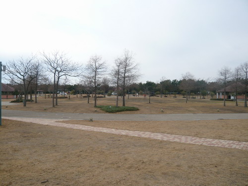 予定通りの・・・＃赤穂で２００９初キャン