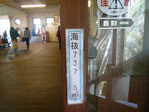 一気に標高７３７．５ｍ！！！＃六甲山ハイク