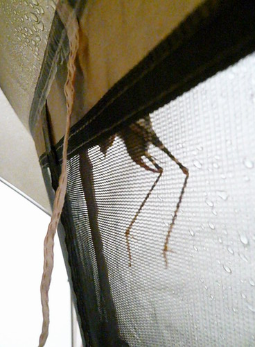 ２泊３日の雨宿り？？？＃回想ＣＡＭＰｉｎ青木荘