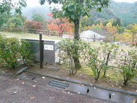 散策①。。。＃バースデーＣＡＭＰｉｎ日時計