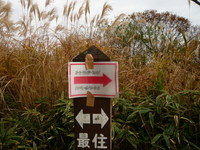魚屋道で六甲横断紅葉トレック!(^^)!　コース編
