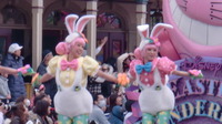 ＴＤＬ・・・＃アッキ～卒業旅行