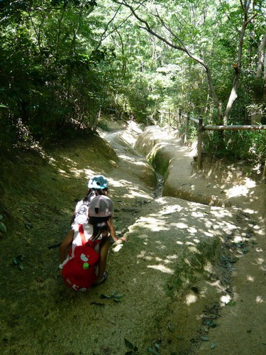 甲山キャンプ場・・・（探）