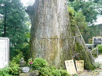 若杉山山頂は・・・ドコ？？？＃九州トレック（若杉山）