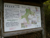 魚屋道で六甲横断紅葉トレック（＾＾）ｂ　紅葉編