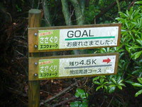若杉山山頂は・・・ドコ？？？＃九州トレック（若杉山）