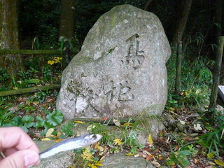 魚屋道
