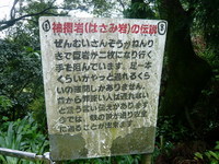 若杉山山頂は・・・ドコ？？？＃九州トレック（若杉山）