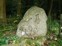 魚屋道で六甲横断紅葉トレック!(^^)!　コース編