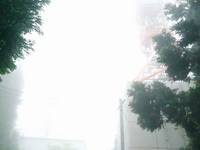 若杉山山頂は・・・ドコ？？？＃九州トレック（若杉山）
