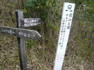 痛ッ痛ッ！！！＃久々のソロトレッキング