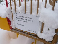 コテージ紹介＃ままちゃりＧＰ＆コテキャン