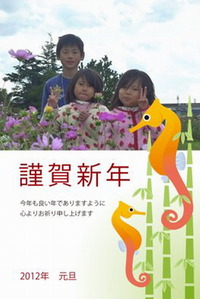 平成２４年　元旦