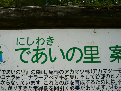 であいの里、出会町。＃木谷山で乾キャン