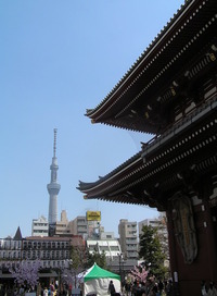 ＴＳＴ・・・＃アッキ～卒業旅行