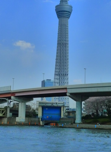 ＴＳＴ・・・＃アッキ～卒業旅行