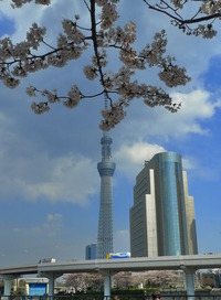 ＨＯＣ。。。そして・・・＃アッキ～卒業旅行