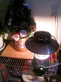 今年は・・・ 2012/12/23 19:36:19